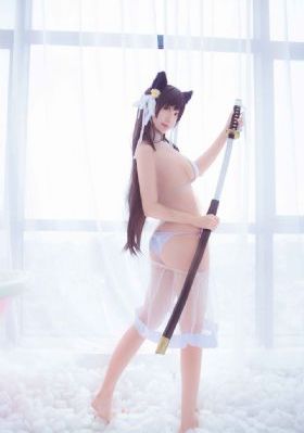 穷追不舍
